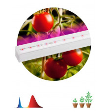 Светильник светодиодный для растений FITO-14W-Т5-N 14Вт 220-240В линейный для периода вегетации фиолет. свечение ЭРА Б0045232