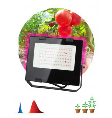 Прожектор для растений FITO-50W-RB-LED 50Вт IP65 красно-синего спектра ЭРА Б0046368
